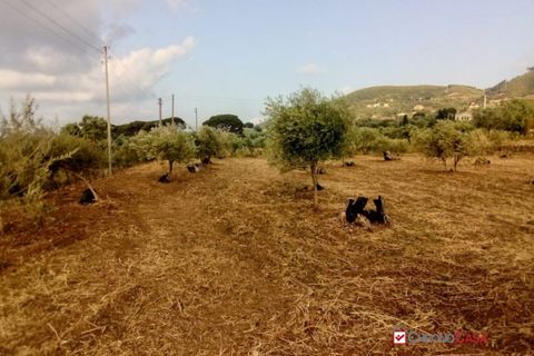 Helårsgrund i Messina, Messina, Messina - € 14.000 | Ref: TSF-5023 - foto 14