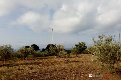 Helårsgrund i Messina, Messina, Messina - € 14.000 | Ref: TSF-5023 - foto 16