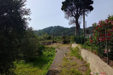 Helårsgrund i Messina, Messina, Messina - € 14.000 | Ref: TSF-5023 - foto 18