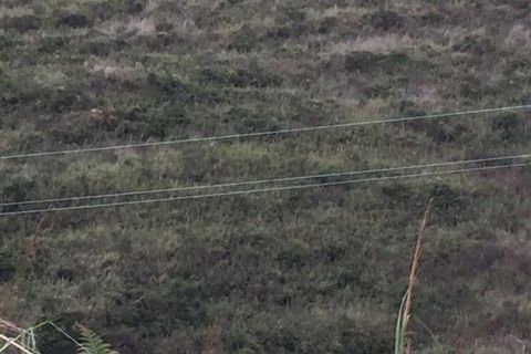 Helårsgrund i Messina, Messina, Messina - € 8.000 | Ref: AZO-5025 - foto 2