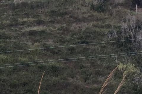 Helårsgrund i Messina, Messina, Messina - € 8.000 | Ref: AZO-5025 - foto 3