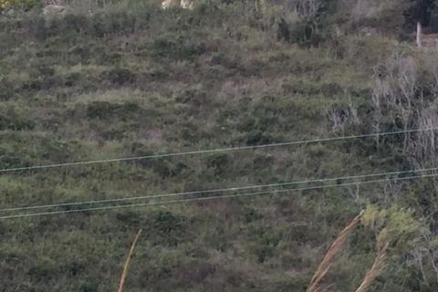 Helårsgrund i Messina, Messina, Messina - € 8.000 | Ref: AZO-5025 - foto 5