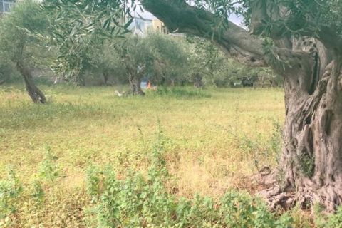 Helårsgrund i Messina, Messina, Messina - € 26.000 | Ref: BDZ-5026 - foto 4