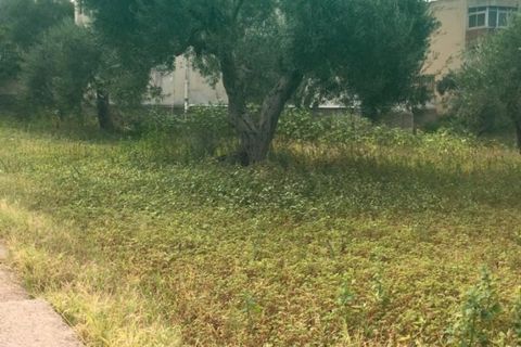 Helårsgrund i Messina, Messina, Messina - € 26.000 | Ref: BDZ-5026 - foto 5