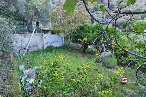 Helårsgrund i Messina, Messina, Messina - € 40.000 | Ref: TVN-5101 - foto 2
