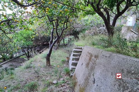 Helårsgrund i Messina, Messina, Messina - € 40.000 | Ref: TVN-5101 - foto 3