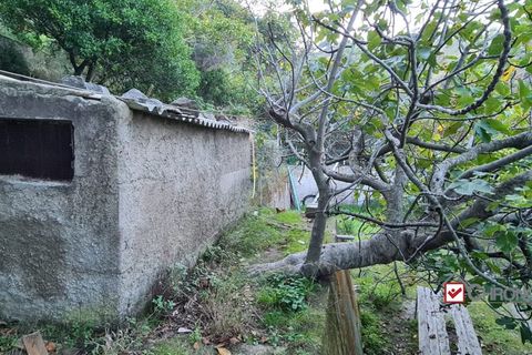 Helårsgrund i Messina, Messina, Messina - € 40.000 | Ref: TVN-5101 - foto 5