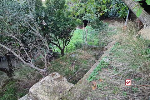 Helårsgrund i Messina, Messina, Messina - € 40.000 | Ref: TVN-5101 - foto 9