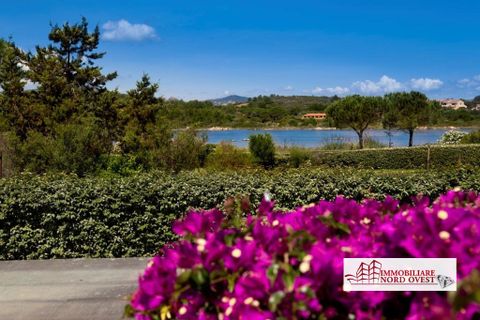 Villa a San Teodoro, Sassari, San Teodoro - € 38.000/mes | Ref: DiamondIppocampo - foto 14