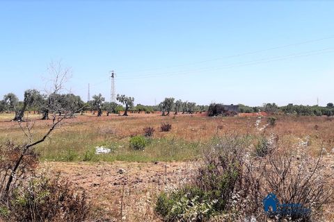 Helårsgrund i Bari, Bari, Bari - € 60.000 | Ref: RAT-466 - foto 1