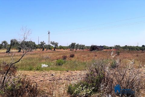 Helårsgrund i Bari, Bari, Bari - € 60.000 | Ref: RAT-466 - foto 2