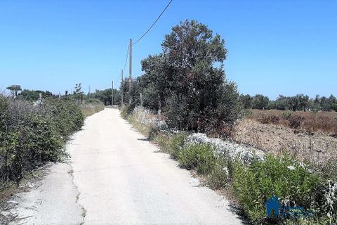 Helårsgrund i Bari, Bari, Bari - € 60.000 | Ref: RAT-466 - foto 4