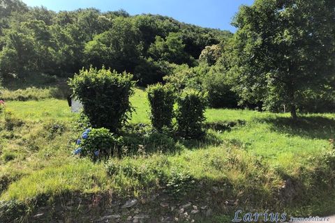 Terra a Canzo, Como, Canzo - € 105.000 | Ref: Canz45 - foto 4