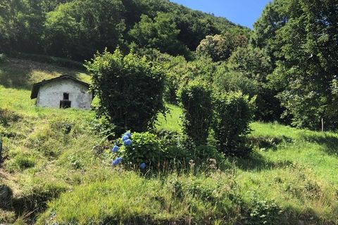 Terra a Canzo, Como, Canzo - € 105.000 | Ref: Canz45 - foto 2