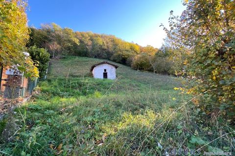Terra a Canzo, Como, Canzo - € 105.000 | Ref: Canz45 - foto 6