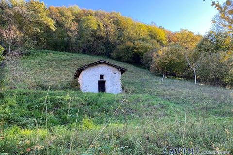 Terra a Canzo, Como, Canzo - € 105.000 | Ref: Canz45 - foto 8