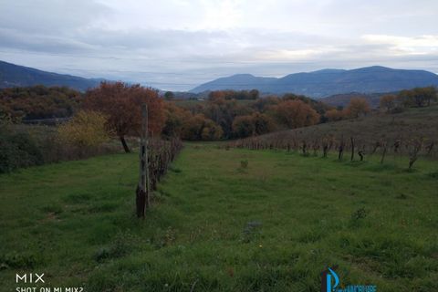 Helårsgrund i Terni, Terni, Terni - € 12.000 | Ref: GFF-1416 - foto 1