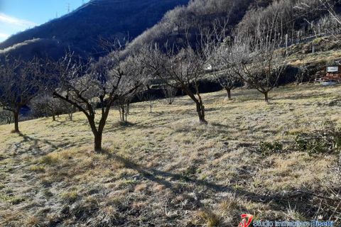 Terra a Losine, Brescia, Losine - € 78.000 | Ref: IMM.176 - foto 2