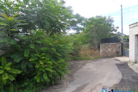 Terra a Galatone, Lecce, Galatone - € 60.000 | Ref: GFC-668 - foto 3