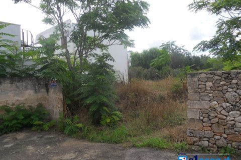 Terra a Galatone, Lecce, Galatone - € 60.000 | Ref: GFC-668 - foto 4