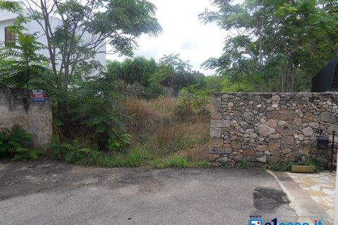 Terra a Galatone, Lecce, Galatone - € 60.000 | Ref: GFC-668 - foto 5