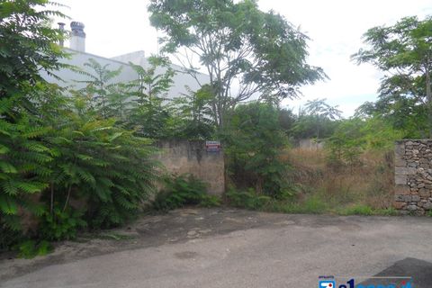 Terra a Galatone, Lecce, Galatone - € 60.000 | Ref: GFC-668 - foto 6