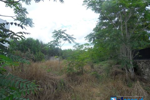 Terra a Galatone, Lecce, Galatone - € 60.000 | Ref: GFC-668 - foto 8