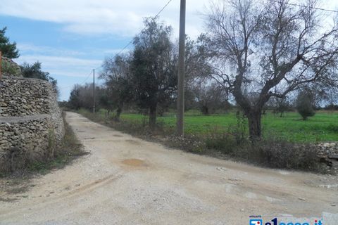 Terra a Galatone, Lecce, Galatone - € 25.000 | Ref: UEG-667 - foto 2