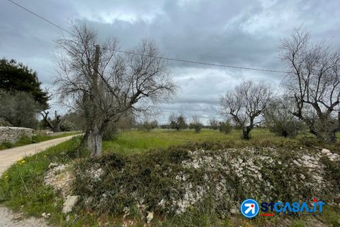 Terra a Galatone, Lecce, Galatone - € 25.000 | Ref: UEG-667 - foto 4