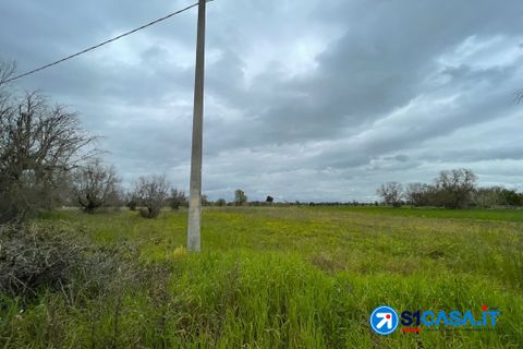 Terra a Galatone, Lecce, Galatone - € 25.000 | Ref: UEG-667 - foto 8