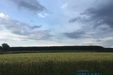 Villa i Carpi, Modena, Carpi - € 4.000.000 | Ref: BQZ-522 - foto 3