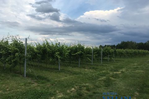 Villa i Carpi, Modena, Carpi - € 4.000.000 | Ref: BQZ-522 - foto 6
