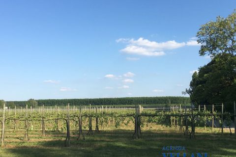 Villa i Carpi, Modena, Carpi - € 4.000.000 | Ref: BQZ-522 - foto 7