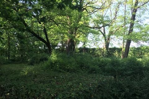 Villa i Carpi, Modena, Carpi - € 4.000.000 | Ref: BQZ-522 - foto 8