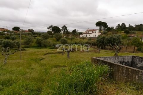 Granja a Tomar, Santarem, Tomar - € 142.500 | Ref: ZMPT544057 - foto 2