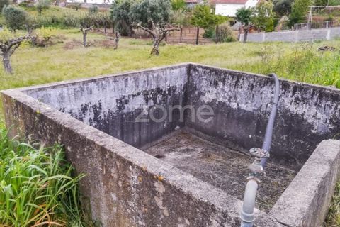 Granja a Tomar, Santarem, Tomar - € 142.500 | Ref: ZMPT544057 - foto 3