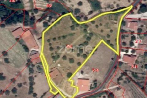 Granja a Tomar, Santarem, Tomar - € 142.500 | Ref: ZMPT544057 - foto 14