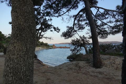 Landejendom i Porto-Vecchio, Corse-du-Sud, Porto-Vecchio - € 1.950.000 | Ref: ALABS 2022 A - foto 15