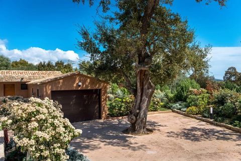 Landejendom i Porto-Vecchio, Corse-du-Sud, Porto-Vecchio - € 1.950.000 | Ref: ALABS 2022 A - foto 26
