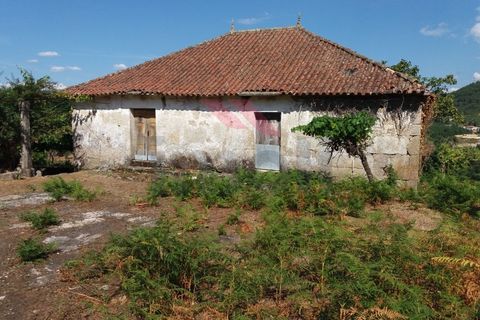 Farm i Moncao, Viana do Castelo, Moncao - € 180.000 | Ref: I-1444-ML-0918 - foto 6