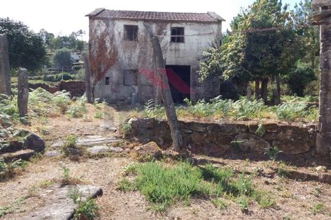 Farm i Moncao, Viana do Castelo, Moncao - € 180.000 | Ref: I-1444-ML-0918 - foto 7
