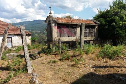 Farm i Moncao, Viana do Castelo, Moncao - € 180.000 | Ref: I-1444-ML-0918 - foto 13