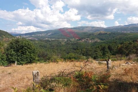 Farm i Moncao, Viana do Castelo, Moncao - € 180.000 | Ref: I-1444-ML-0918 - foto 15
