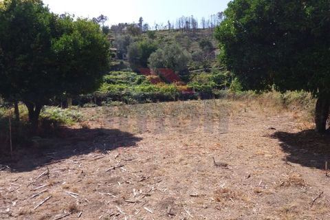 Farm i Moncao, Viana do Castelo, Moncao - € 180.000 | Ref: I-1444-ML-0918 - foto 16