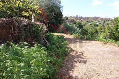 Farm i Moncao, Viana do Castelo, Moncao - € 180.000 | Ref: I-1444-ML-0918 - foto 17
