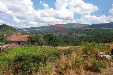 Farm i Moncao, Viana do Castelo, Moncao - € 180.000 | Ref: I-1444-ML-0918 - foto 19