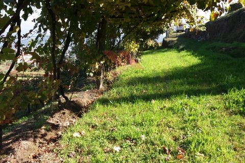 Helårsgrund i Arcos de Valdevez, Viana do Castelo, Arcos de Valdevez - € 32.000 | Ref: I-1467-MP-1018 - foto 2