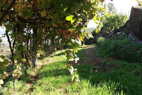 Helårsgrund i Arcos de Valdevez, Viana do Castelo, Arcos de Valdevez - € 32.000 | Ref: I-1467-MP-1018 - foto 3