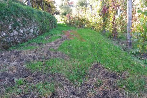 Helårsgrund i Arcos de Valdevez, Viana do Castelo, Arcos de Valdevez - € 32.000 | Ref: I-1467-MP-1018 - foto 5