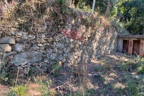 Villa a Padroso, Viana do Castelo, Padroso - € 34.000 | Ref: I-AVV-1735-MG-0920 - foto 8